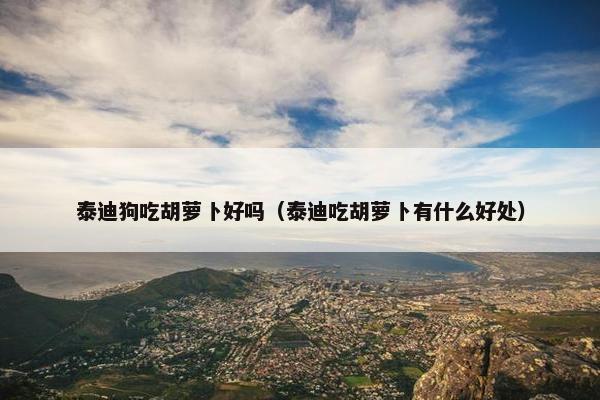 泰迪狗吃胡萝卜好吗（泰迪吃胡萝卜有什么好处）