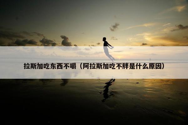 拉斯加吃东西不嚼（阿拉斯加吃不胖是什么原因）