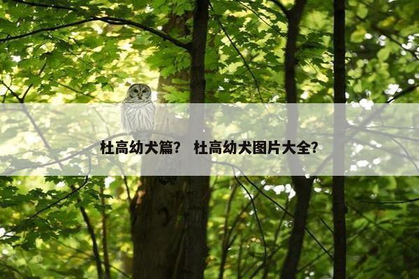 杜高幼犬篇？ 杜高幼犬图片大全？