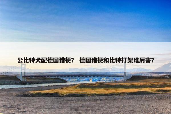 公比特犬配德国猎梗？ 德国猎梗和比特打架谁厉害？