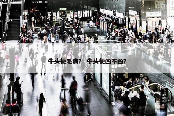 牛头梗毛病？ 牛头梗凶不凶？