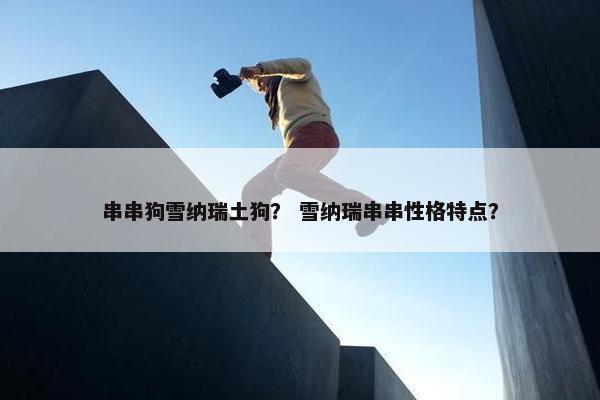 串串狗雪纳瑞土狗？ 雪纳瑞串串性格特点？
