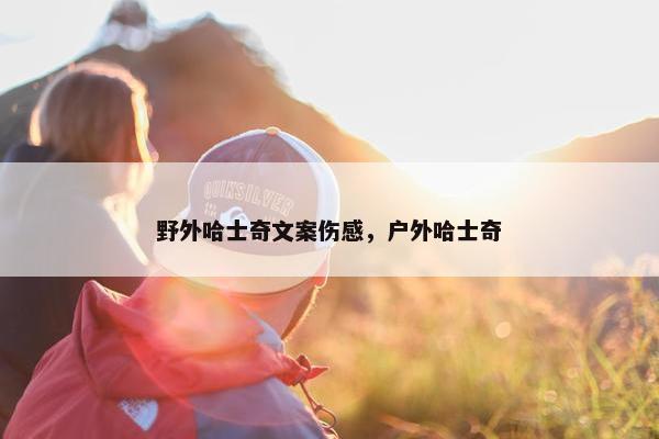 野外哈士奇文案伤感，户外哈士奇