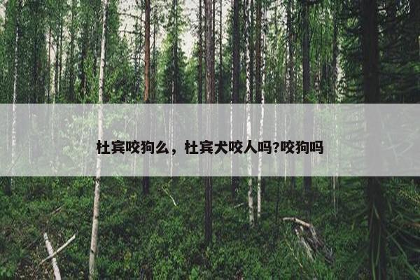 杜宾咬狗么，杜宾犬咬人吗?咬狗吗