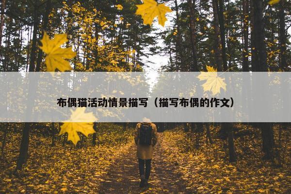 布偶猫活动情景描写（描写布偶的作文）