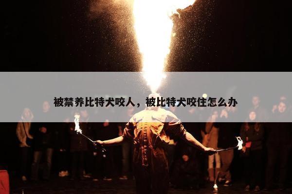 被禁养比特犬咬人，被比特犬咬住怎么办