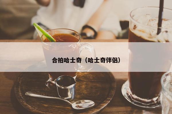 合拍哈士奇（哈士奇伴侣）