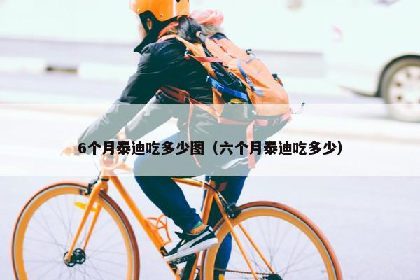 6个月泰迪吃多少图（六个月泰迪吃多少）