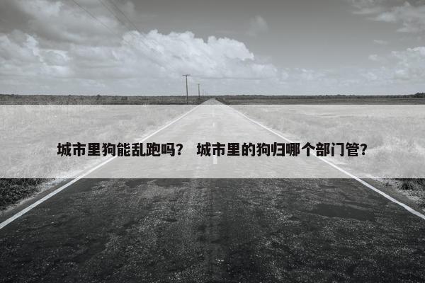 城市里狗能乱跑吗？ 城市里的狗归哪个部门管？