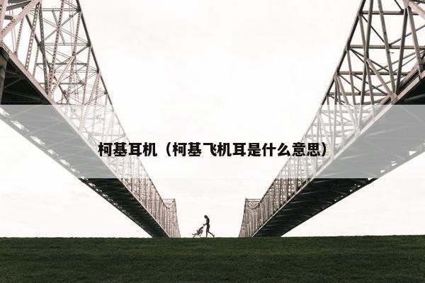 柯基耳机（柯基飞机耳是什么意思）