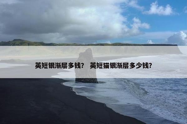英短银渐层多钱？ 英短猫银渐层多少钱？