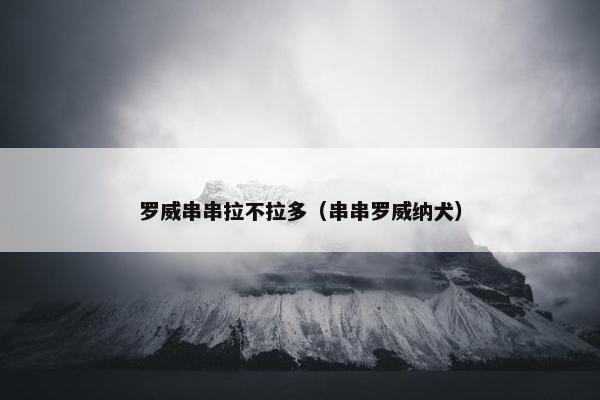 罗威串串拉不拉多（串串罗威纳犬）