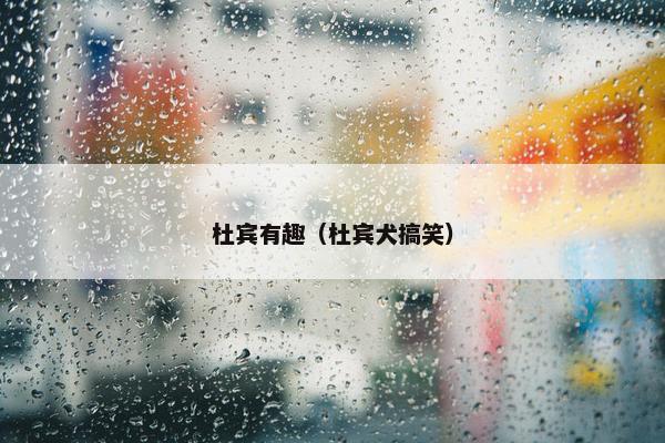 杜宾有趣（杜宾犬搞笑）