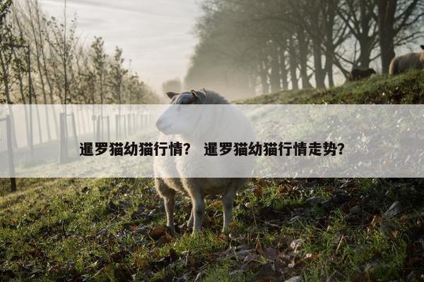 暹罗猫幼猫行情？ 暹罗猫幼猫行情走势？