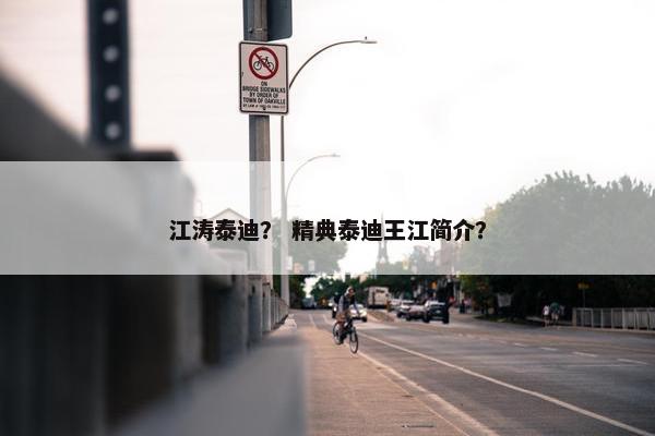 江涛泰迪？ 精典泰迪王江简介？