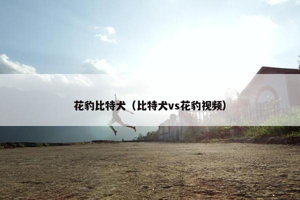 花豹比特犬（比特犬vs花豹视频）