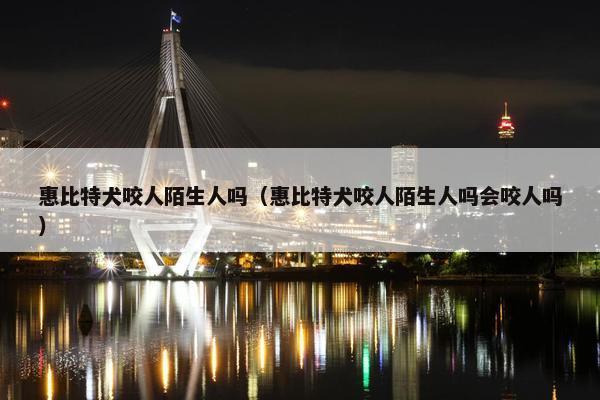 惠比特犬咬人陌生人吗（惠比特犬咬人陌生人吗会咬人吗）