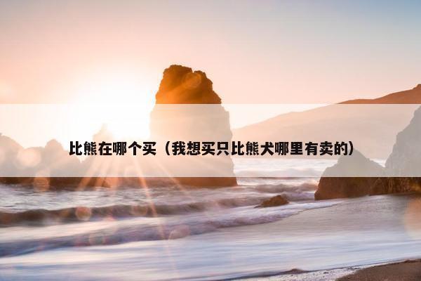 比熊在哪个买（我想买只比熊犬哪里有卖的）
