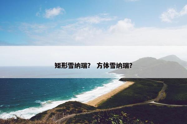 矩形雪纳瑞？ 方体雪纳瑞？
