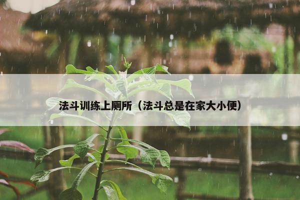 法斗训练上厕所（法斗总是在家大小便）