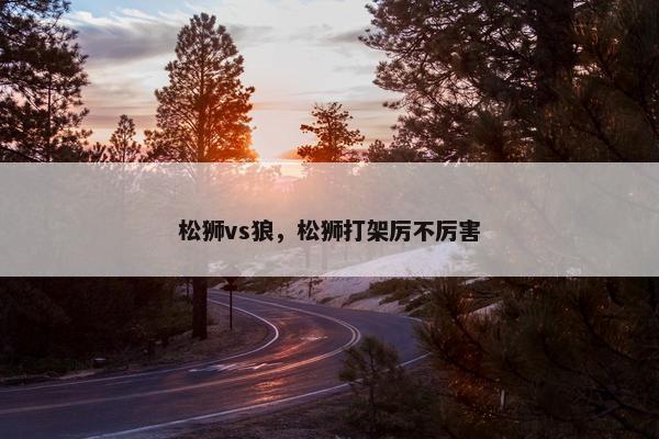 松狮vs狼，松狮打架厉不厉害