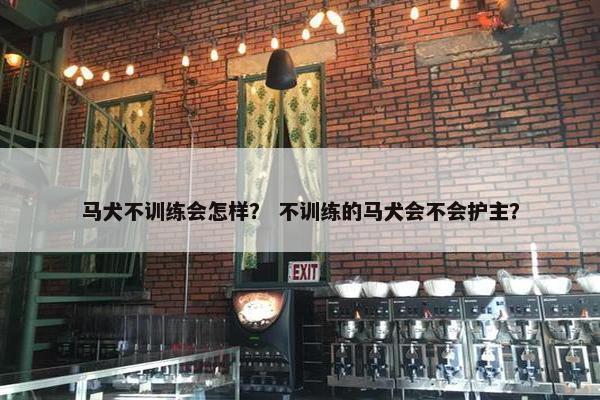 马犬不训练会怎样？ 不训练的马犬会不会护主？