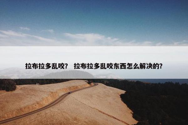 拉布拉多乱咬？ 拉布拉多乱咬东西怎么解决的？
