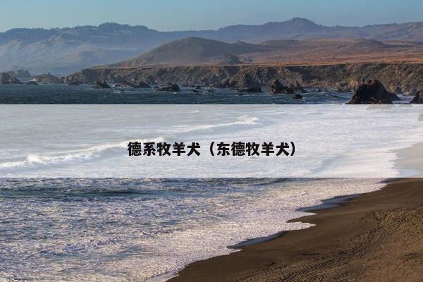德系牧羊犬（东德牧羊犬）