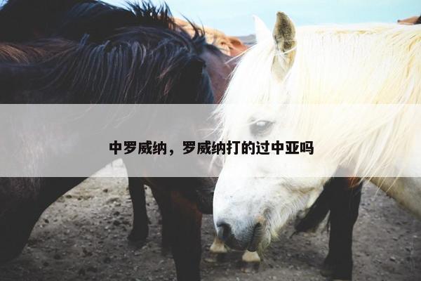 中罗威纳，罗威纳打的过中亚吗
