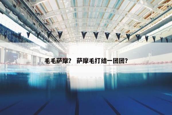 毛毛萨摩？ 萨摩毛打结一团团？