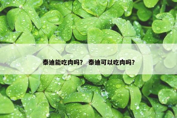 泰迪能吃肉吗？ 泰迪可以吃肉吗？