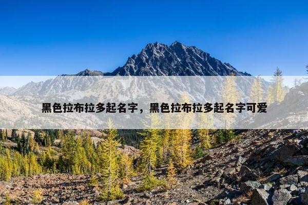 黑色拉布拉多起名字，黑色拉布拉多起名字可爱
