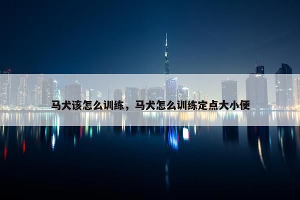 马犬该怎么训练，马犬怎么训练定点大小便