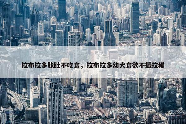 拉布拉多胀肚不吃食，拉布拉多幼犬食欲不振拉稀