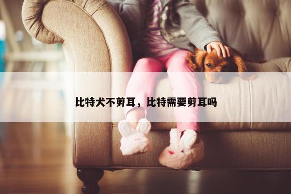 比特犬不剪耳，比特需要剪耳吗