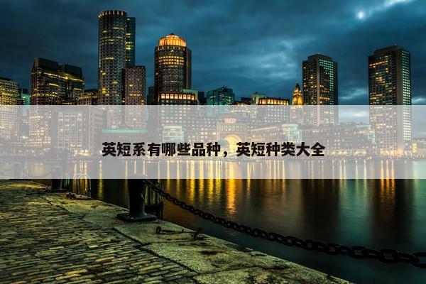 英短系有哪些品种，英短种类大全