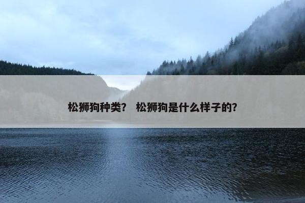 松狮狗种类？ 松狮狗是什么样子的？