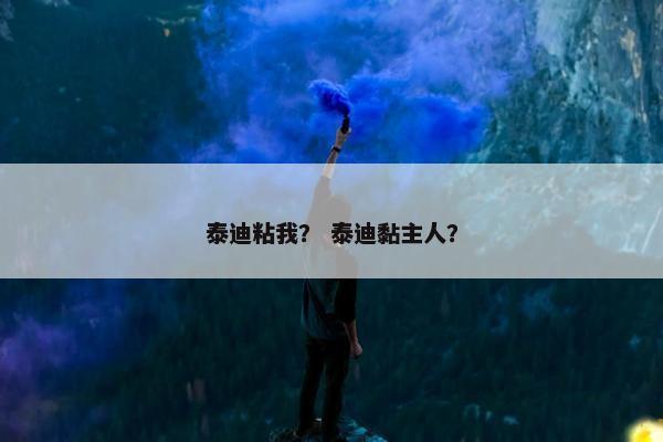 泰迪粘我？ 泰迪黏主人？