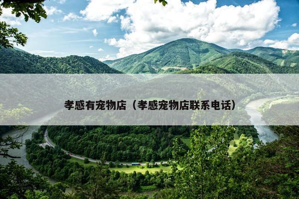 孝感有宠物店（孝感宠物店联系电话）