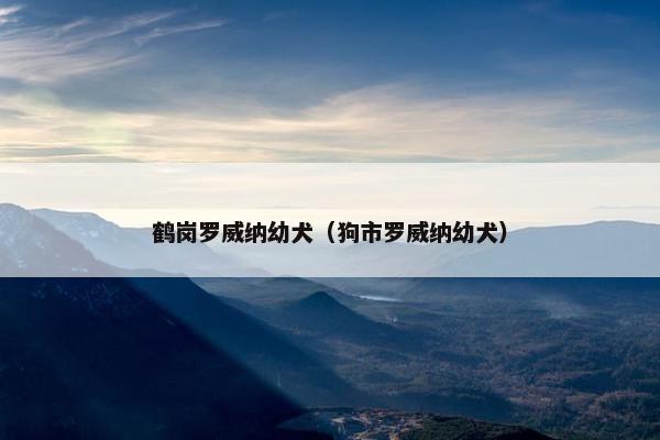 鹤岗罗威纳幼犬（狗市罗威纳幼犬）