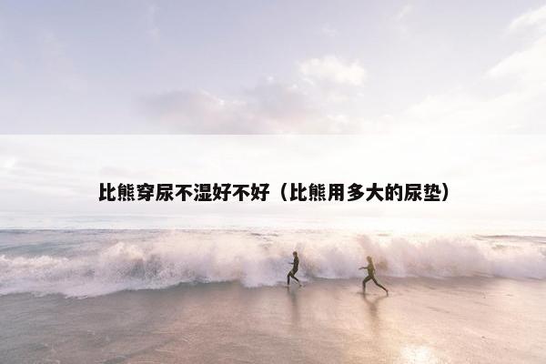比熊穿尿不湿好不好（比熊用多大的尿垫）