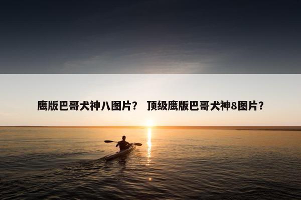 鹰版巴哥犬神八图片？ 顶级鹰版巴哥犬神8图片？