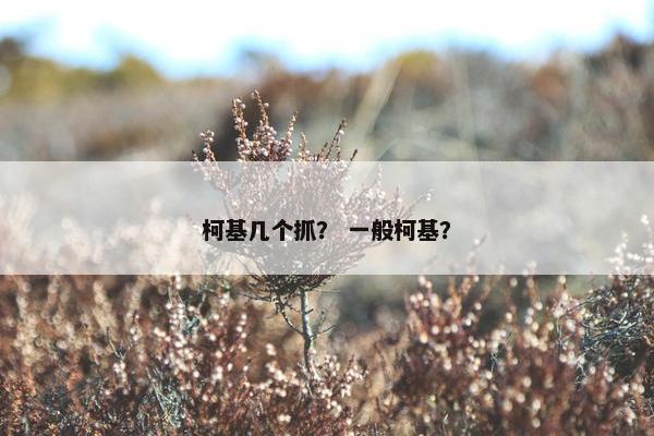 柯基几个抓？ 一般柯基？