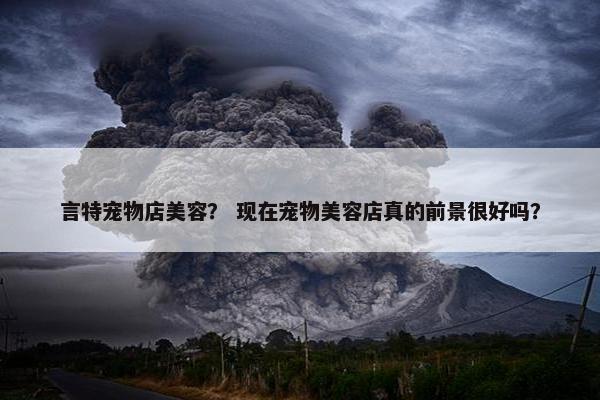 言特宠物店美容？ 现在宠物美容店真的前景很好吗？