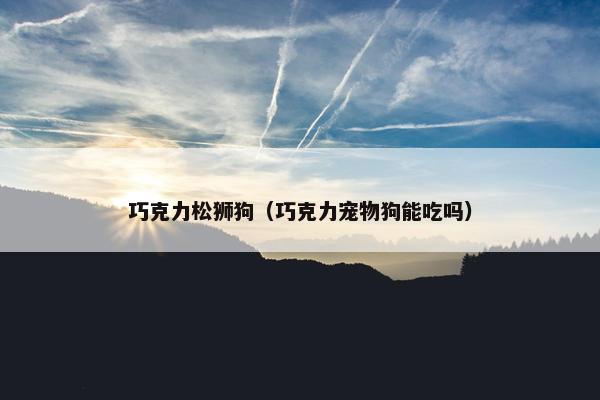 巧克力松狮狗（巧克力宠物狗能吃吗）