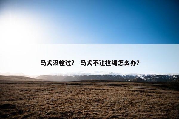 马犬没栓过？ 马犬不让栓绳怎么办？