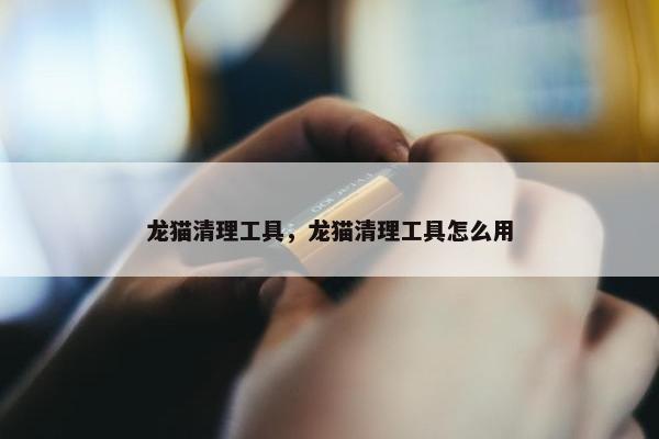 龙猫清理工具，龙猫清理工具怎么用