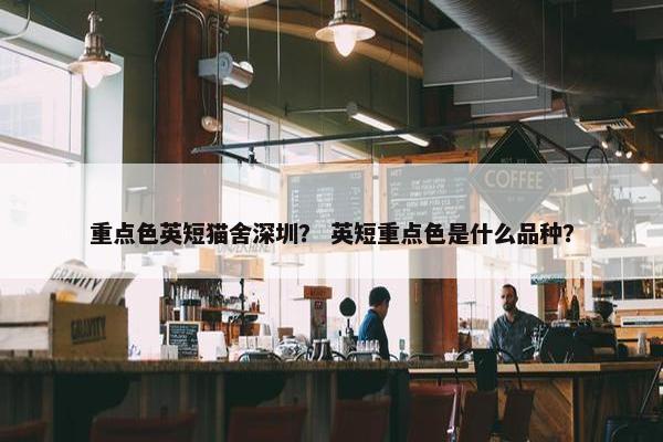 重点色英短猫舍深圳？ 英短重点色是什么品种？