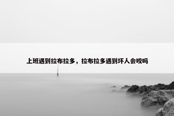 上班遇到拉布拉多，拉布拉多遇到坏人会咬吗