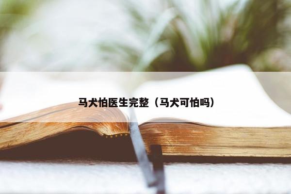马犬怕医生完整（马犬可怕吗）
